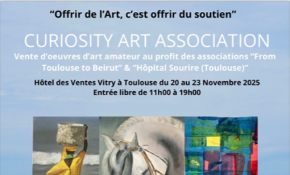 Curiosity Art Association